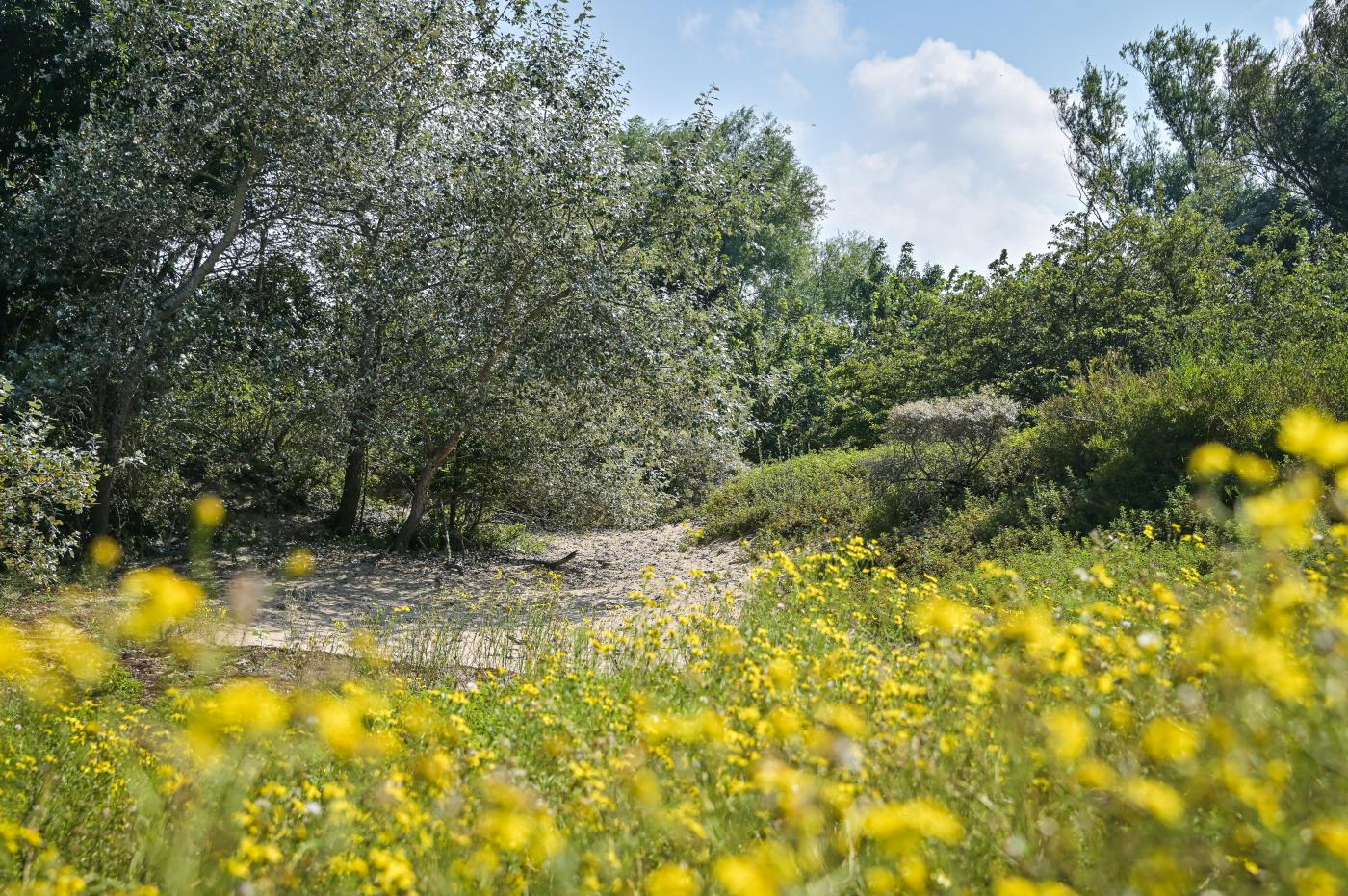 Noordduinen Koksijde