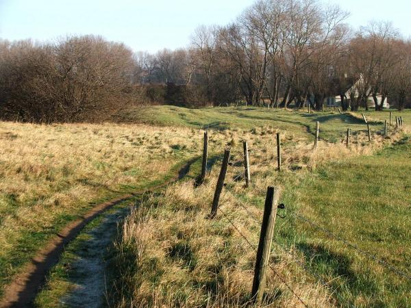 Oostvoorduinen