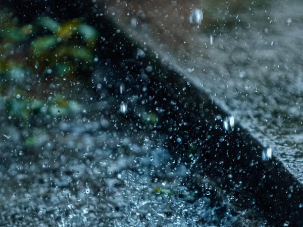Regen