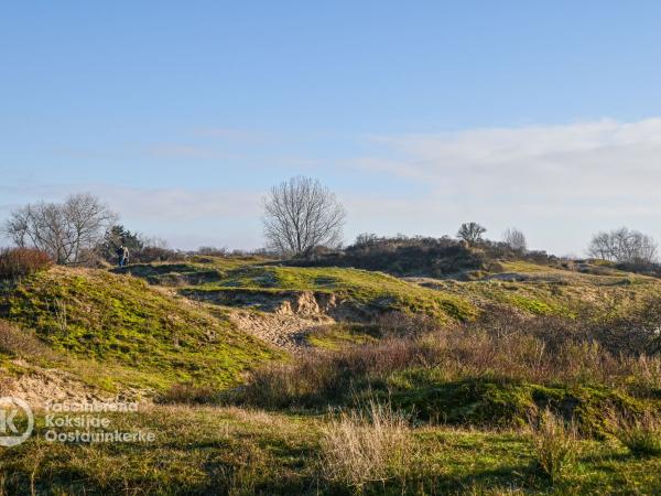 Plaatsduinen